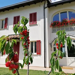 Bed & Breakfast La Mafalda In Oltrepo, Codevilla